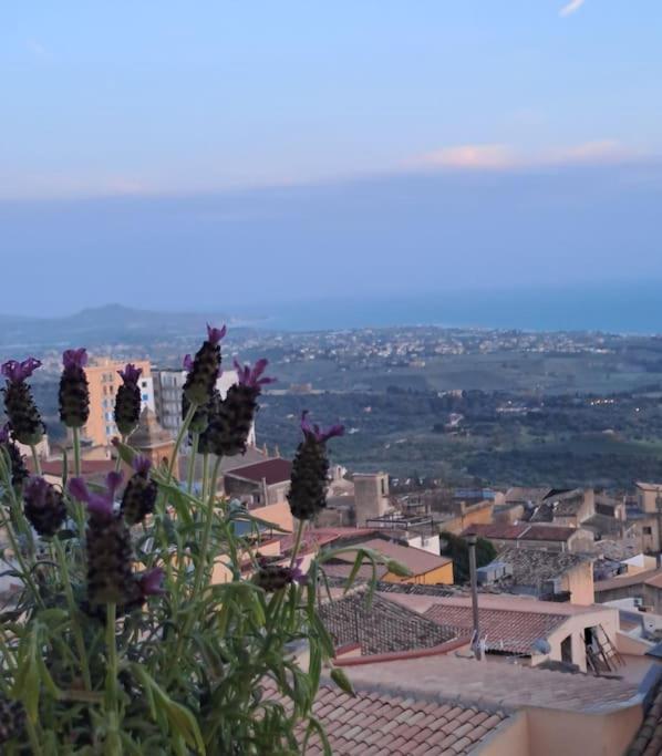 Casuzza Al Duomo Con Vista Valle Dei Templi! อากริเจนโต ภายนอก รูปภาพ